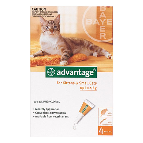 Advantage for clearance kittens