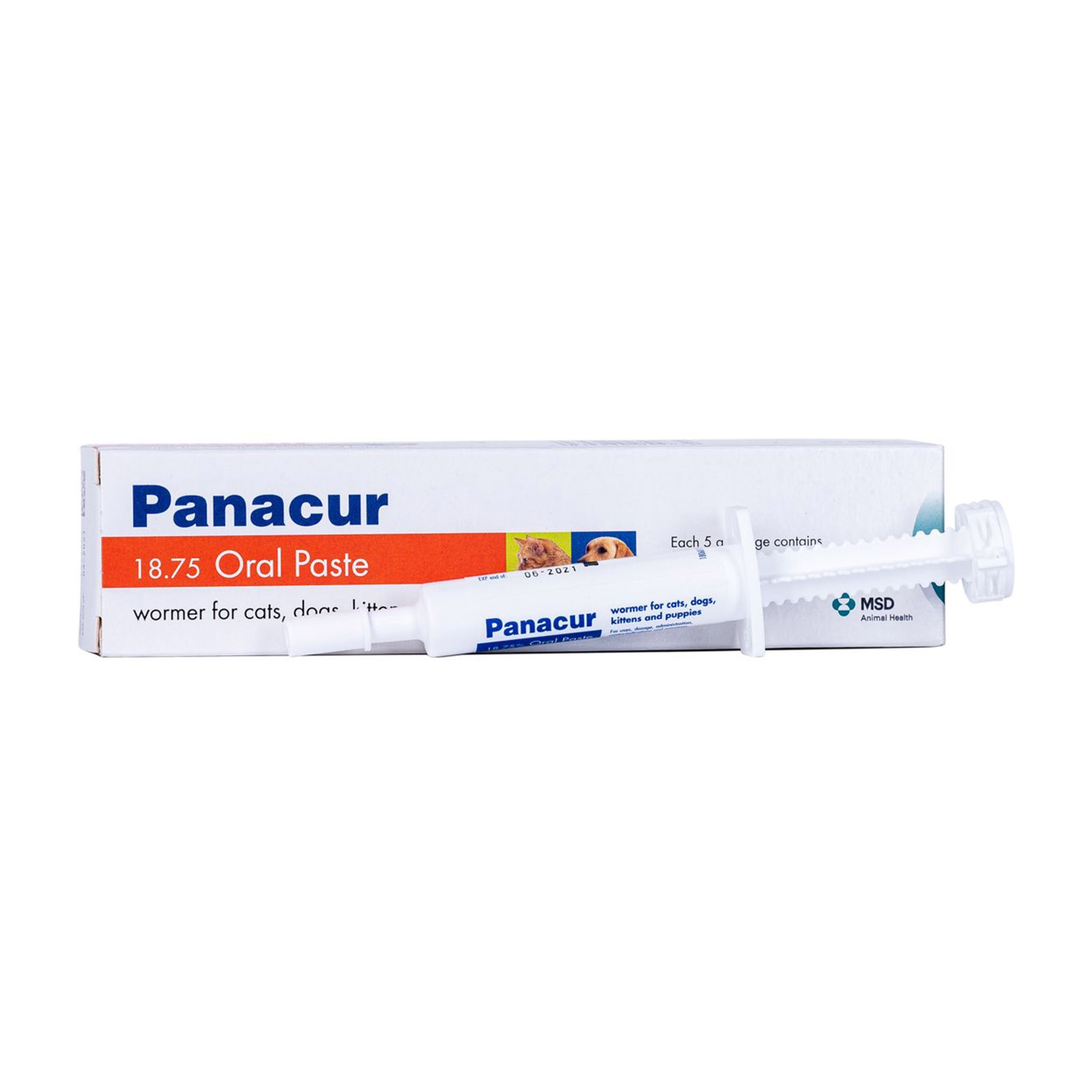 Panacur pet outlet paste kitten