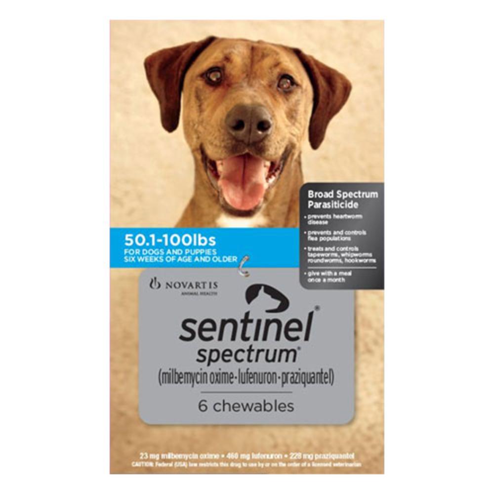 Cheapest sentinel 2024 for dogs