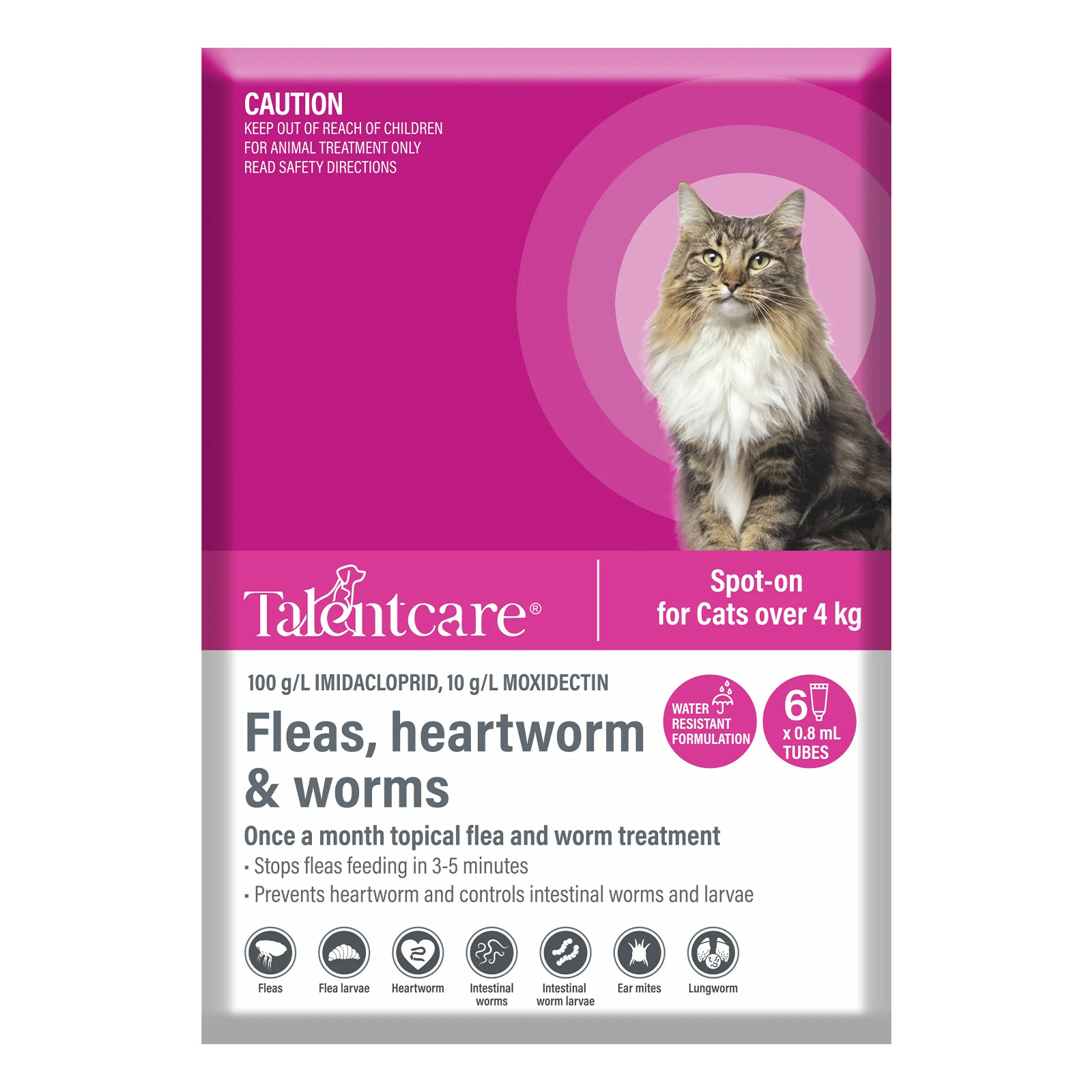 Buy Talentcare Spot On Cat Flea & Worm Treatment For Cats Over 4kg