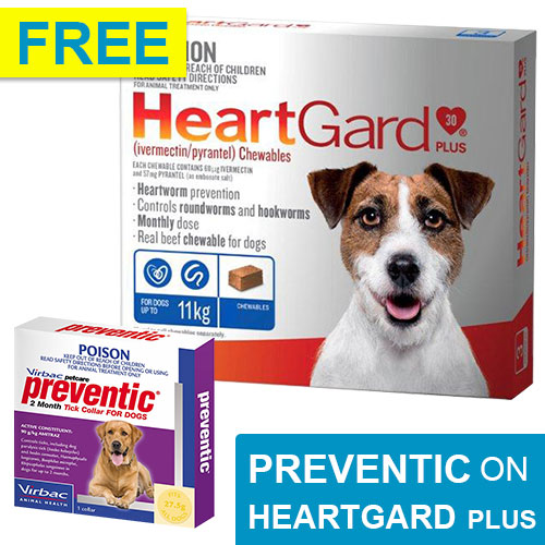 Heartgard Plus For Dogs : Buy Heartgard Plus Only at $33.29 - BudgetVetCare